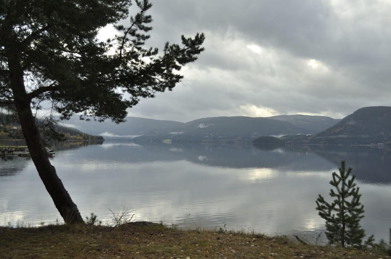 Fyresdal Gjestehus Moland ภายนอก รูปภาพ